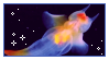sea angel